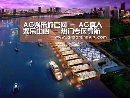 案例展示八