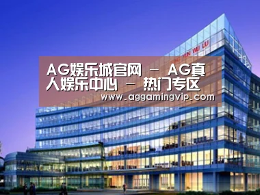案例展示五