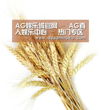 AG娱乐城官网 - AG真人娱乐中心 - 热门专区导航