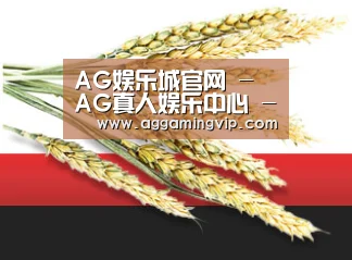 AG娱乐城官网 - AG真人娱乐中心 - 热门专区导航