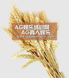 AG娱乐城官网 - AG真人娱乐中心 - 热门专区导航