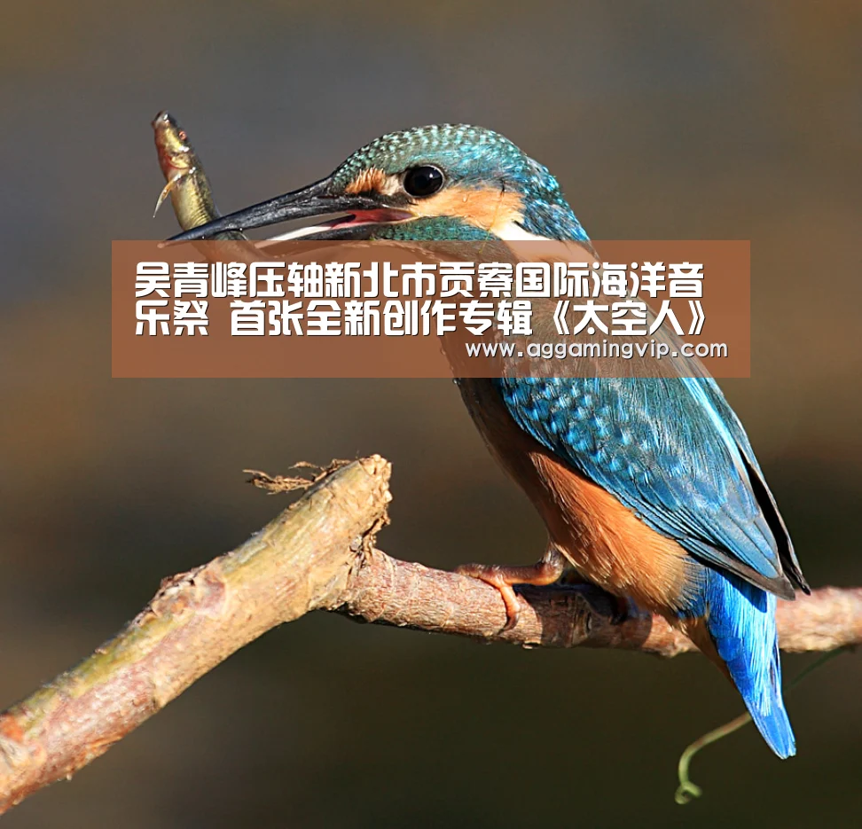 吴青峰压轴新北市贡寮国际海洋音乐祭 首张全新创作专辑《太空人》发行在即“AG专区”(图2) AG娱乐