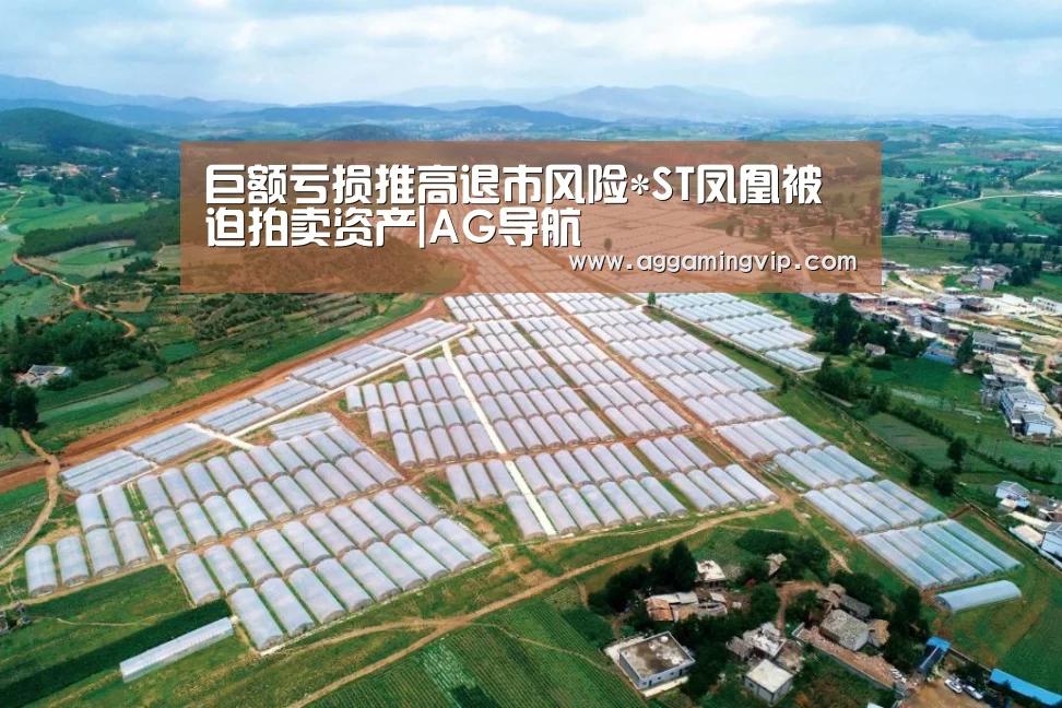 巨额亏损推高退市风险*ST凤凰被迫拍卖资产|AG导航(图2) AG专区
