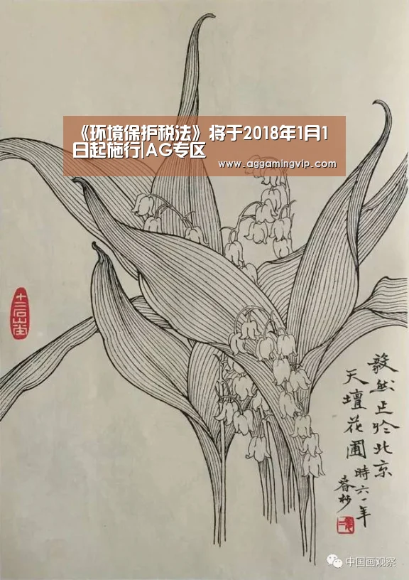 AG专区