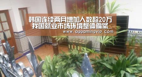 韩国连续两月增加人数超20万 我国就业市场环境整体偏紧_AG娱乐城(图2) AG娱乐城