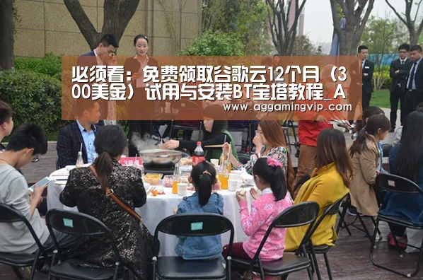必须看:免费领取谷歌云12个月(300美金)试用与安装BT宝塔教程_AG专区(图3) AG专区