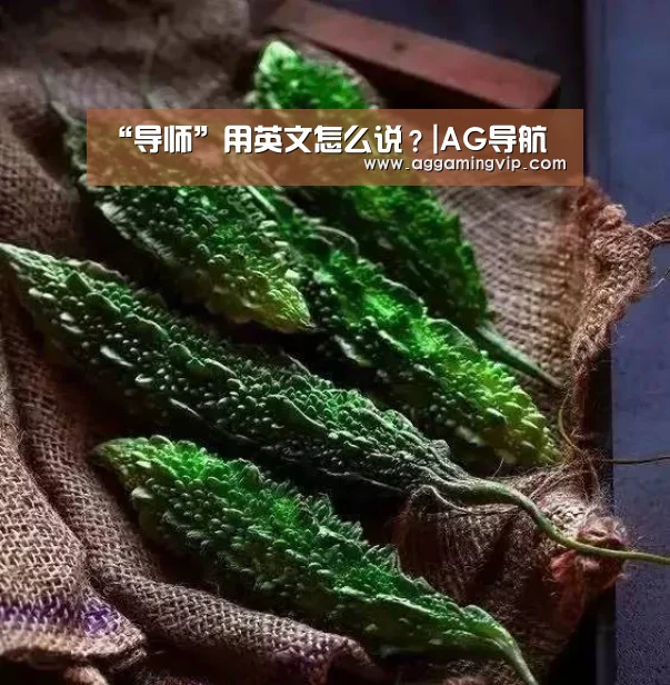 “导师”用英文怎么说?|AG导航(图1) AG娱乐