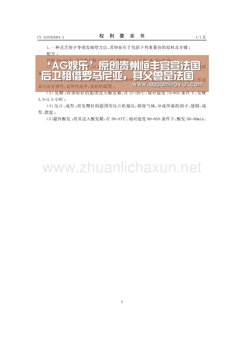 ‘AG娱乐’原创贵州恒丰官宣法国后卫租借罗马尼亚,其父曾是法国国脚!(图3) AG导航