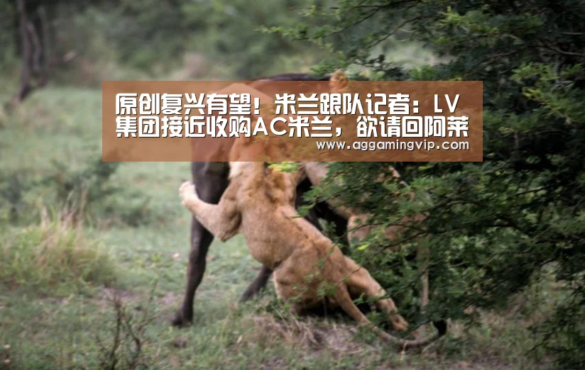 原创复兴有望!米兰跟队记者:LV集团接近收购AC米兰,欲请回阿莱格里_AG娱乐(图2) AG专区