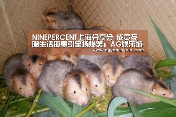 NINEPERCENT上海分享会 成员互曝生活琐事引全场爆笑:AG娱乐城(图2) AG导航