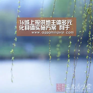 16城上报供地主体多元化具体实施方案 利于房价进一步合理回归“AG娱乐”(图4) AG娱乐城