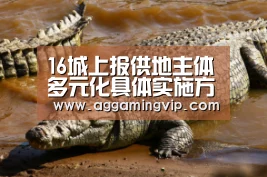 16城上报供地主体多元化具体实施方案 利于房价进一步合理回归“AG娱乐”(图2) AG专区