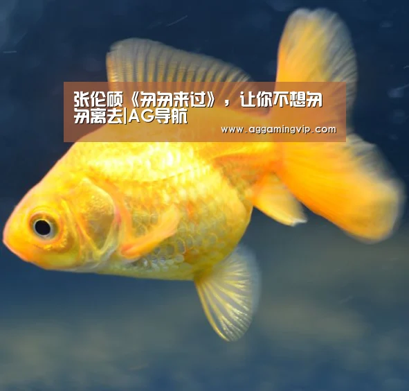 张伦硕《匆匆来过》,让你不想匆匆离去|AG导航(图1) AG导航