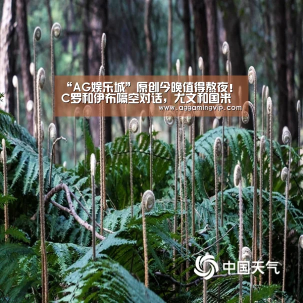 “AG娱乐城”原创今晚值得熬夜!C罗和伊布隔空对话,尤文和国米谁能榜首?(图1) AG导航