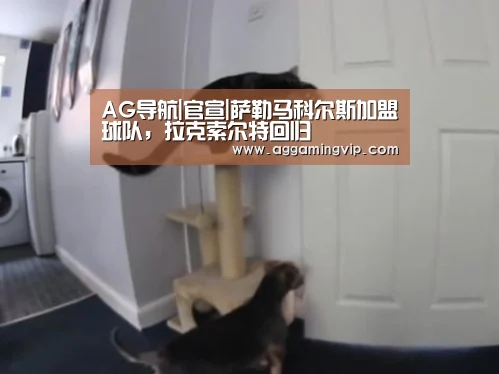 AG导航|官宣|萨勒马科尔斯加盟球队,拉克索尔特回归(图1) AG娱乐